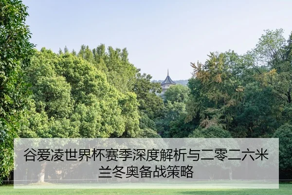 gu-ai-ling-shi-jie-bei-sai-ji-shen-du-jie-xi-yu-er-ling-er-liu-mi-lan-dong-ao-bei-zhan-ce-lve-2-707.jpg