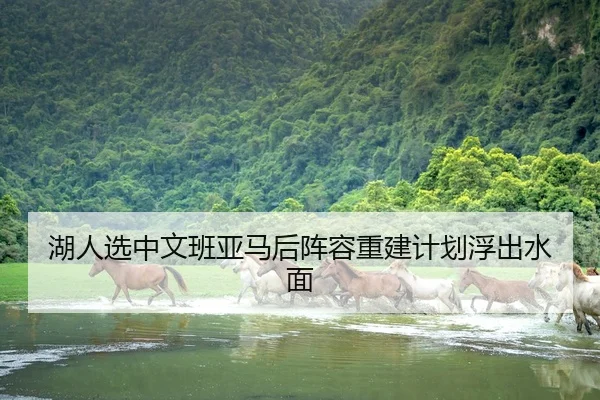 湖人选中文班亚马后阵容重建计划浮出水面