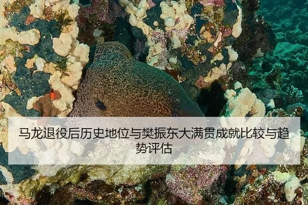 ma-long-tui-yi-hou-li-shi-di-wei-yu-fan-zhen-dong-da-man-guan-cheng-jiu-bi-jiao-yu-qu-shi-ping-gu-2-250.jpg