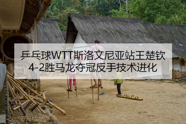 乒乓球WTT斯洛文尼亚站王楚钦4-2胜马龙夺冠反手技术进化