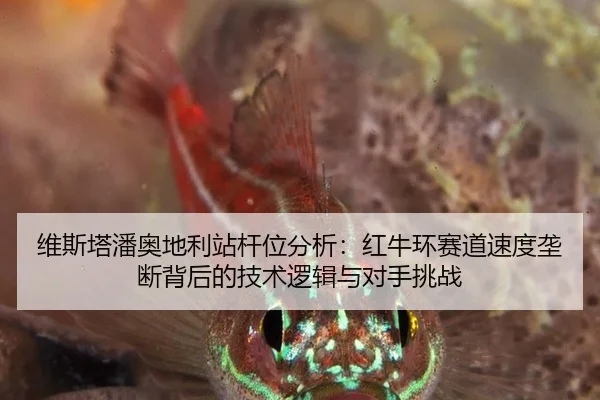 wei-si-ta-pan-ao-di-li-zhan-gan-wei-fen-xi-hong-niu-huan-sai-dao-su-du-long-duan-bei-hou-de-ji-shu-luo-ji-yu-dui-shou-2-930.jpg